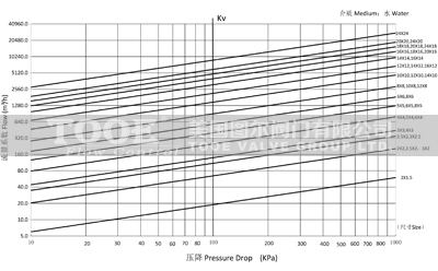 水泵吸入口擴散過濾器流量壓降 水泵吸入口擴散過濾器流量壓降